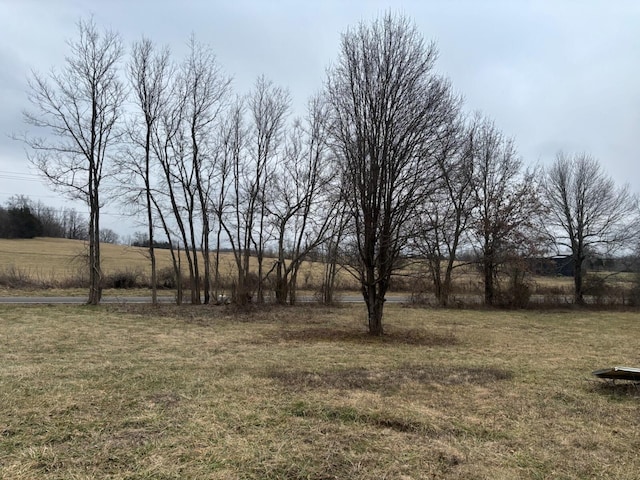 Listing photo 2 for 0 Perryville Rd, Harrodsburg KY 40330