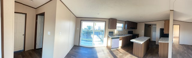 kitchen featuring dark hardwood / wood-style flooring, sink, crown molding, and lofted ceiling