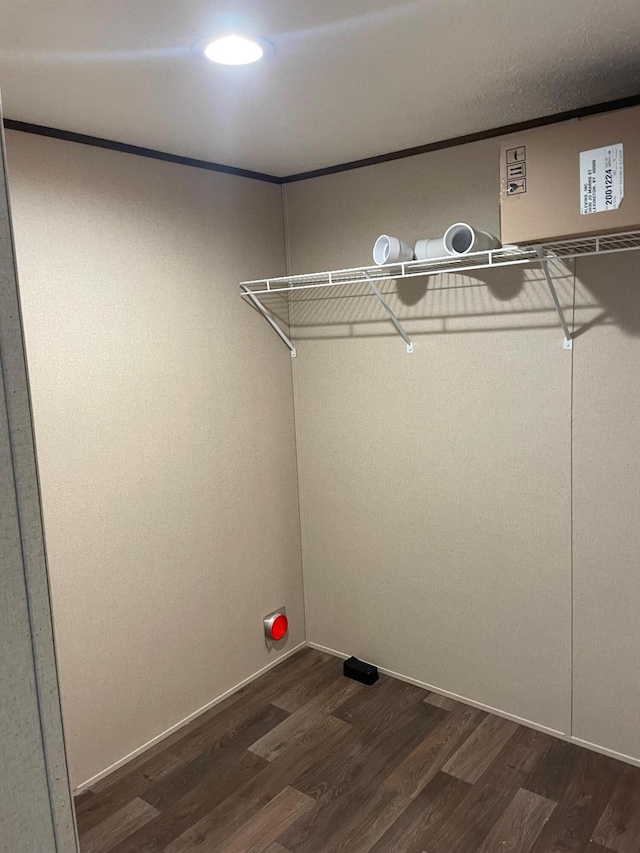 laundry area with dark hardwood / wood-style flooring