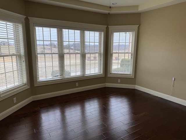 unfurnished room featuring dark wood-type flooring