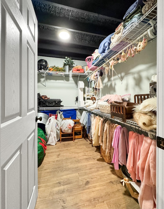 walk in closet featuring wood-type flooring