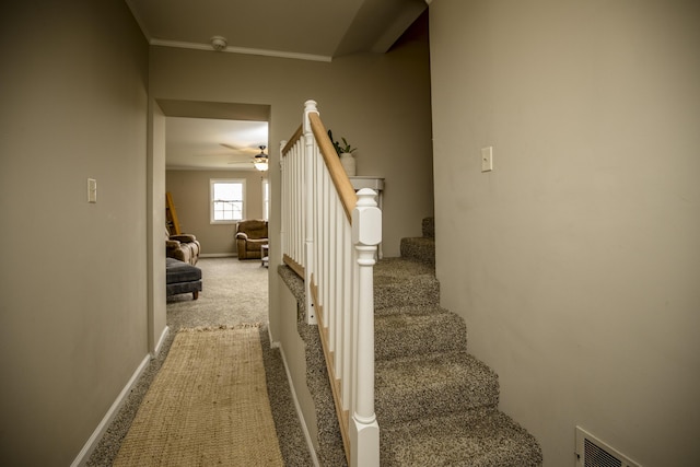 stairway featuring ornamental molding and carpet flooring