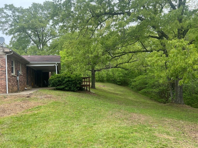 5 Keeton Ave, West Liberty, KY 41472 - view of green lawn with a carport