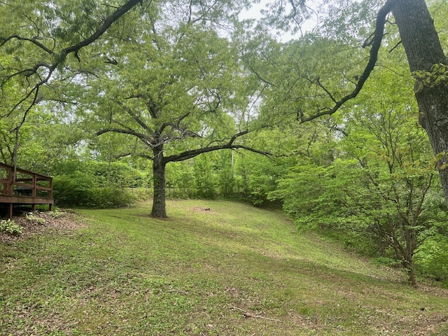 5 Keeton Ave, West Liberty, KY 41472 - view of yard featuring a wooden deck and a forest view