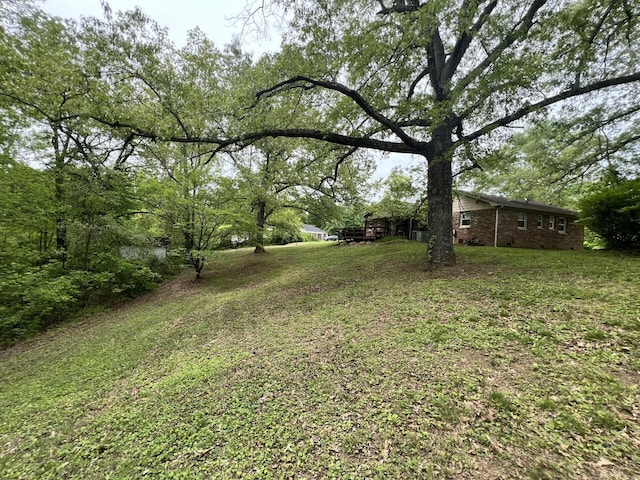 5 Keeton Ave, West Liberty, KY 41472 - view of grassy yard