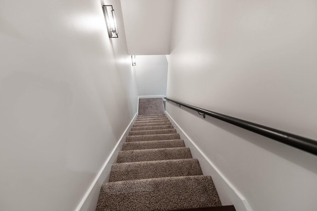 staircase with carpet floors