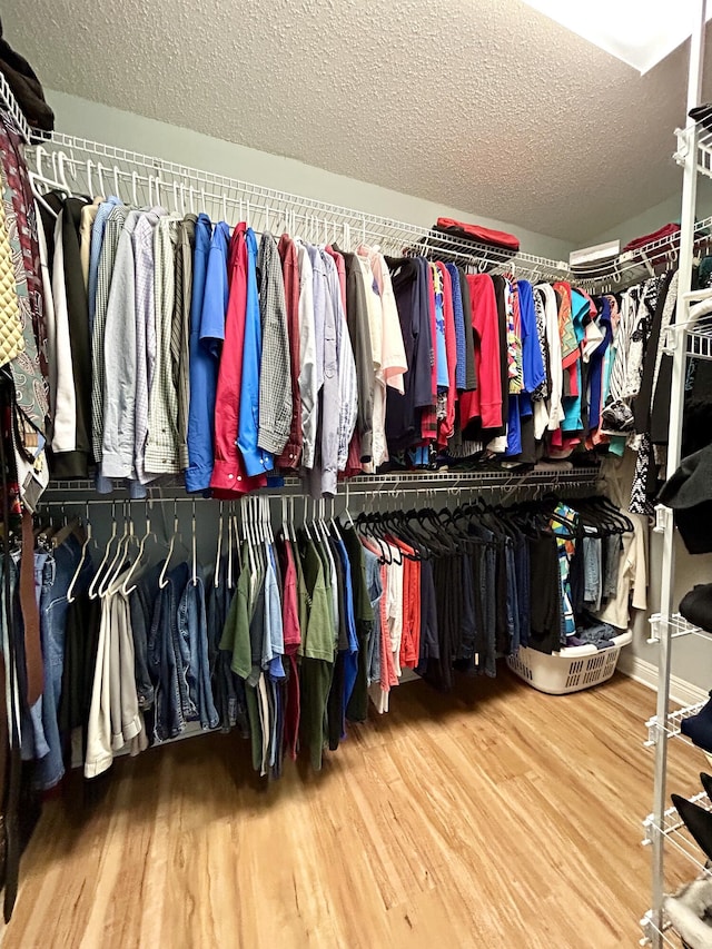 spacious closet featuring wood-type flooring