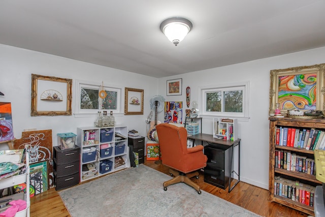 office space with hardwood / wood-style flooring