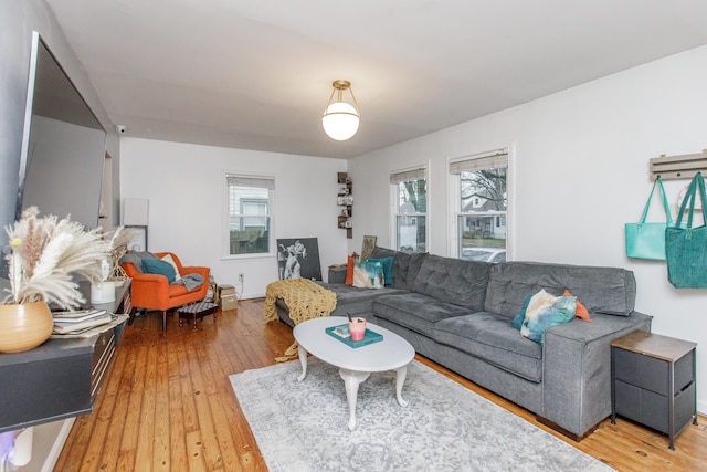 living room with hardwood / wood-style flooring