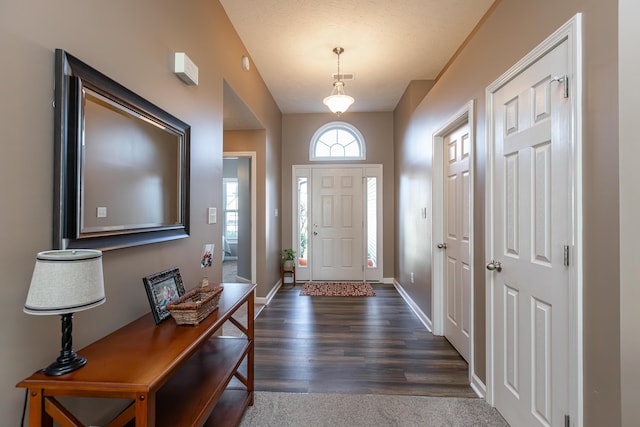 foyer with dark hardwood / wood-style flooring