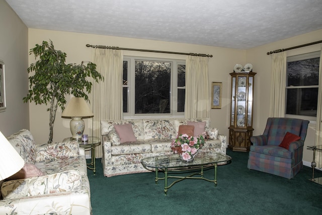 living room with carpet and a textured ceiling