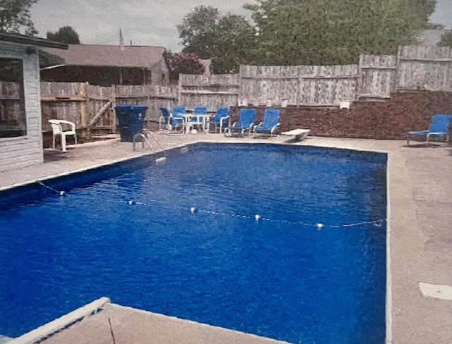 view of pool with a patio area and a diving board