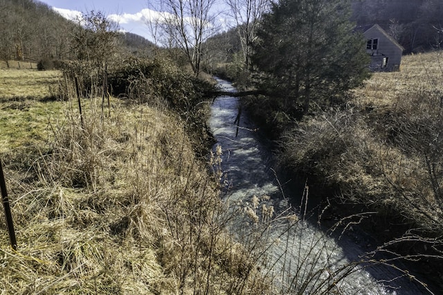 view of nature