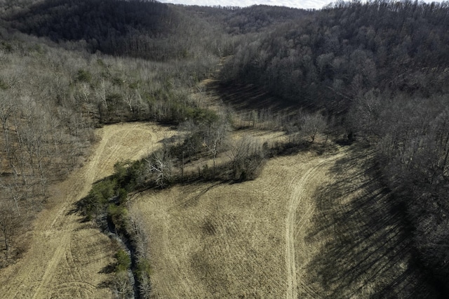 bird's eye view featuring a rural view