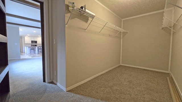 spacious closet featuring carpet