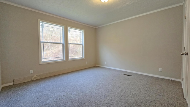 carpeted empty room featuring crown molding and a textured ceiling