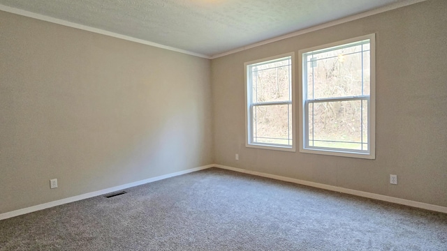 carpeted empty room with crown molding and a textured ceiling