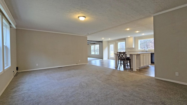 empty room featuring ornamental molding, sink, light carpet, and a textured ceiling