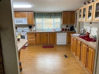 kitchen with white appliances and light hardwood / wood-style flooring