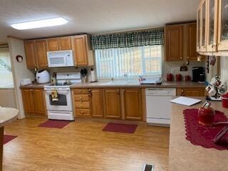 kitchen featuring white appliances and light hardwood / wood-style flooring