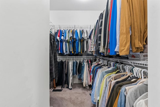 spacious closet with carpet