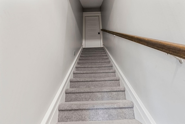 staircase featuring carpet