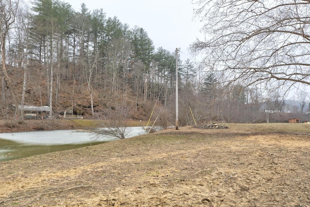 view of yard with a water view