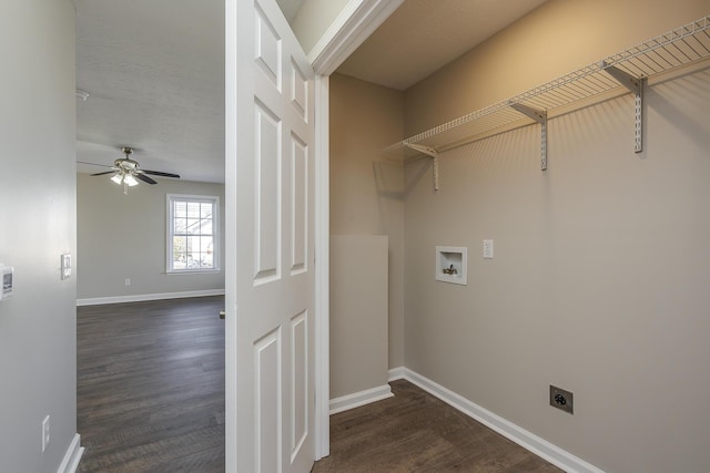 clothes washing area with dark hardwood / wood-style flooring, hookup for a washing machine, hookup for an electric dryer, and ceiling fan