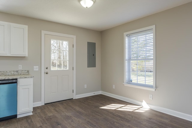 interior space featuring a healthy amount of sunlight, dark wood-type flooring, and electric panel