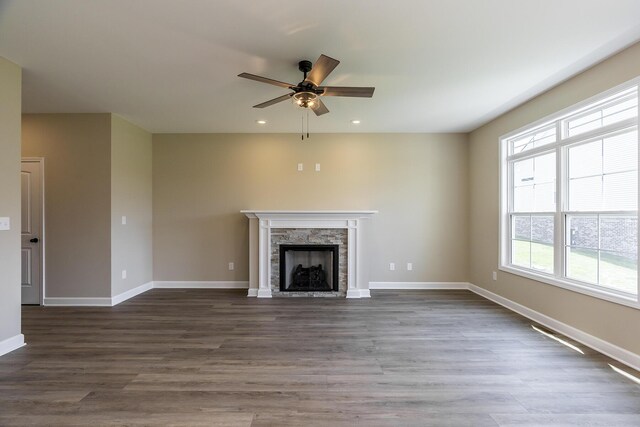 room details with a stone fireplace and wood-type flooring