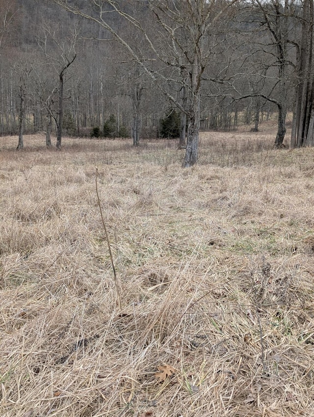 2654 Short Rd, Salvisa KY, 40372 land for sale