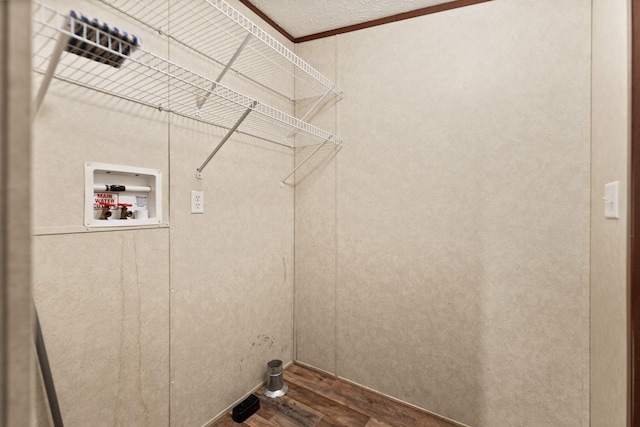 washroom with hardwood / wood-style flooring and washer hookup