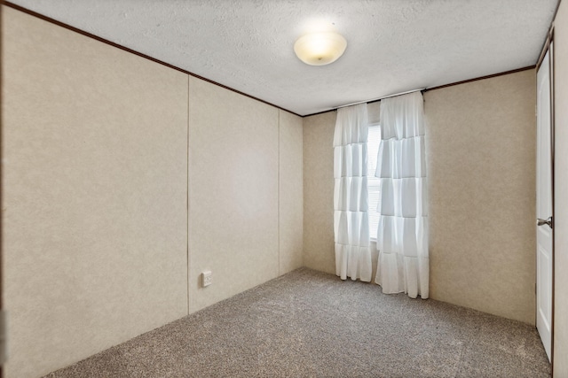 carpeted empty room featuring crown molding and a textured ceiling