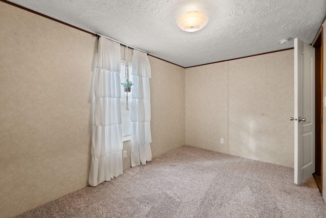 carpeted empty room with a textured ceiling