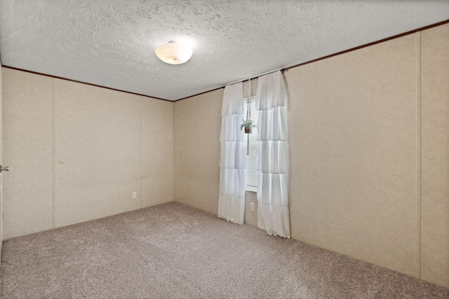 spare room featuring a textured ceiling and carpet flooring