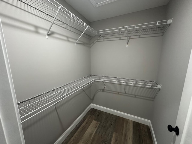 walk in closet with dark hardwood / wood-style flooring