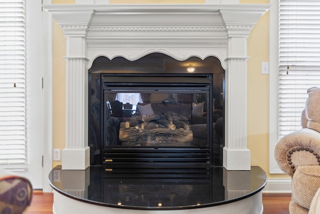 room details featuring a multi sided fireplace and wood finished floors