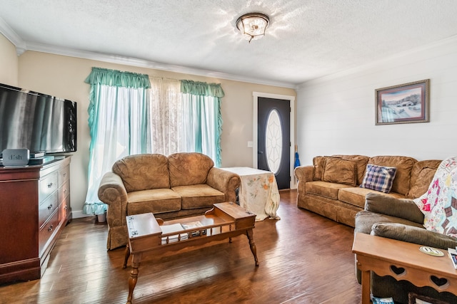 living room featuring ornamental molding, dark wood-type flooring, and a textured ceiling