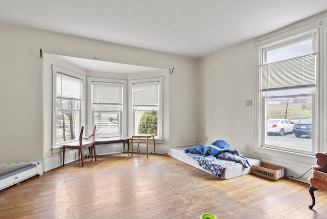 misc room featuring a baseboard radiator and wood-type flooring