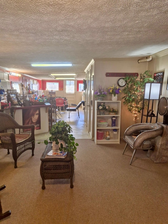 living room featuring carpet floors and a textured ceiling