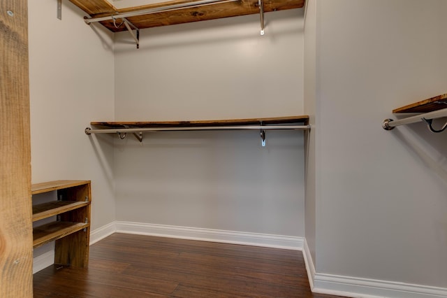 walk in closet featuring dark hardwood / wood-style flooring