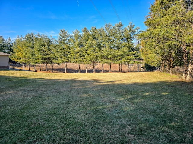 view of yard with a rural view