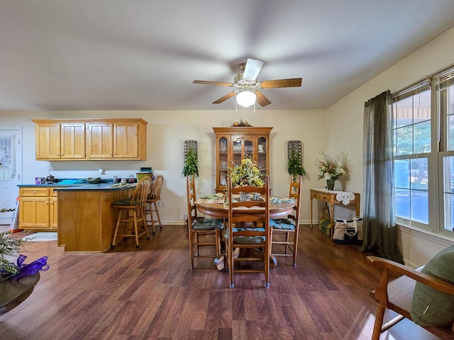 dining area featuring ceiling fan and dark hardwood / wood-style flooring