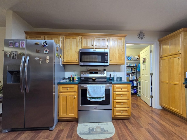 kitchen featuring stainless steel appliances and dark wood-type flooring