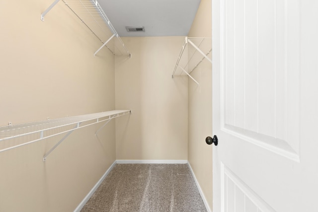 spacious closet with carpet floors