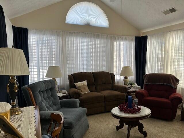 carpeted living room with lofted ceiling