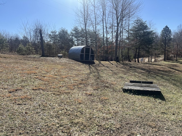 view of yard featuring a storage shed