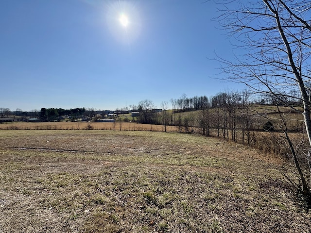 view of yard featuring a rural view