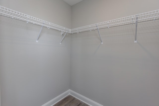 walk in closet featuring wood-type flooring