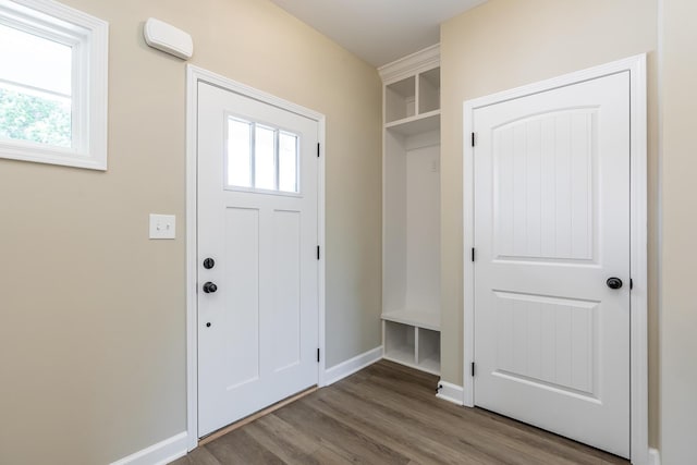 mudroom featuring wood-type flooring